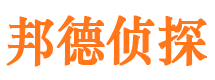 杜尔伯特侦探公司